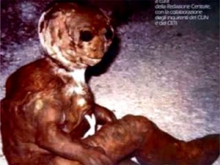 瀕死の宇宙人、イタリアの民家の庭で発見される!