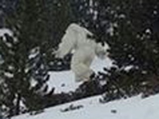 UMAイエティ(雪男)が、スペインのスキー場に出現! ハッキリと写っている姿に世界が驚愕!