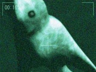 世界の巨大生物UMA 動画まとめ。巨大クモ男からクラーケンまで!
