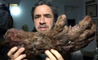 ビッグフットの肉を食べた男! 遂にビッグフットのペニスも公開! UMA研究者たちも驚愕の仰天映像!