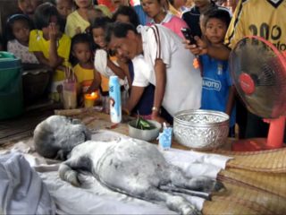 ベトナムにUFO墜落、宇宙人死体が住民に供養される! その真相は?