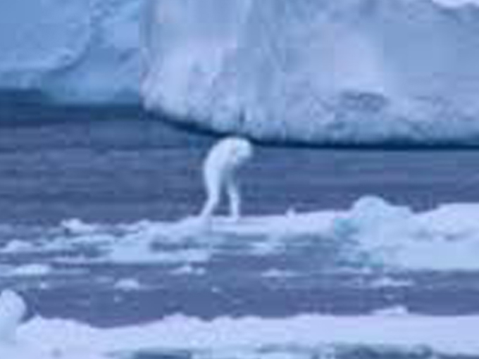氷上を歩いているニンゲン