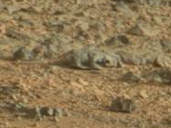 火星のトカゲ