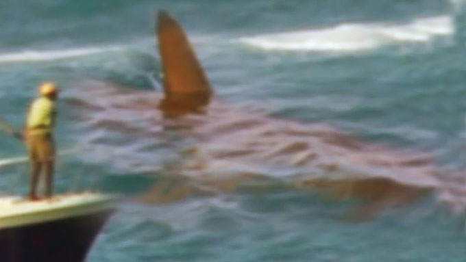 史上最強 最大の超巨大サメ メガロドン 生存の証拠映像 画像 目撃証言の数々 Part 3