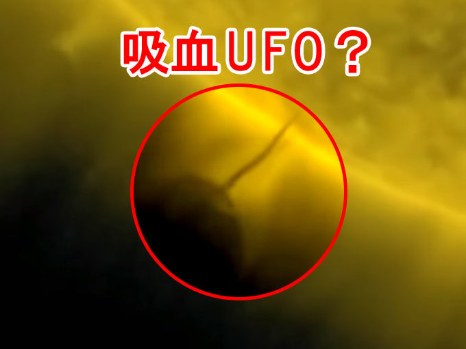 太陽周辺に現れた吸血UFO