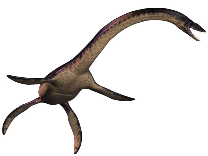 首長竜プレシオサウルス