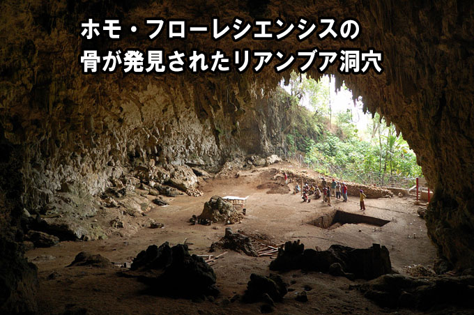 ホモ・フローレシエンシスの 骨が発見されたリアンブア洞穴