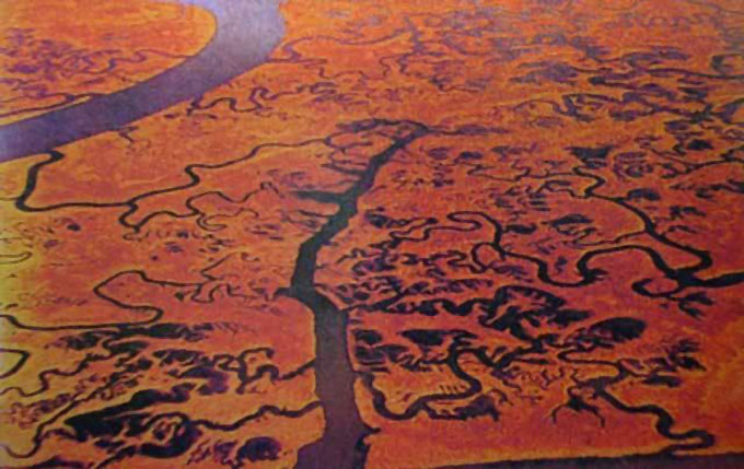 バード少将が撮影した地底世界の写真2